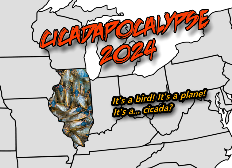 They come in peace... hopefully. This summer in Illinois will be a historic one when it comes to cicadas -- were getting not one but TWO emerging broods as our new neighbors. (Graphic by Cole Altmayer)